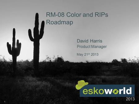 1 May 21 st 2013 RM-08 Color and RIPs Roadmap David Harris Product Manager.