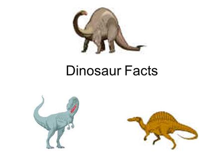 Dinosaur Facts.