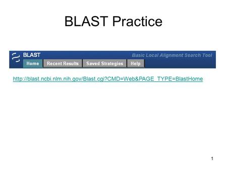 BLAST Practice http://blast.ncbi.nlm.nih.gov/Blast.cgi?CMD=Web&PAGE_TYPE=BlastHome.