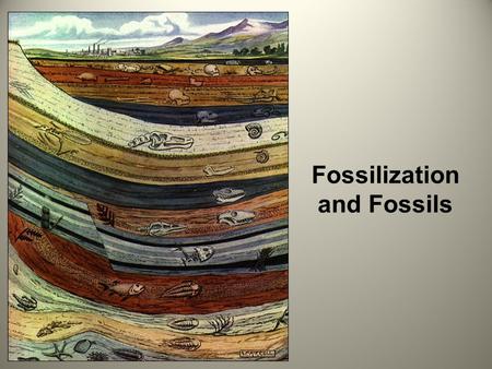 Fossilization and Fossils