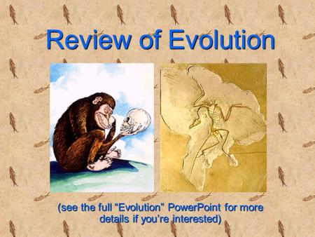 Review of Evolution (see the full “Evolution” PowerPoint for more details if you’re interested)