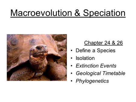 Macroevolution & Speciation Chapter 24 & 26 Define a Species Isolation Extinction Events Geological Timetable Phylogenetics.