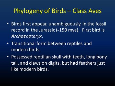 Phylogeny of Birds – Class Aves