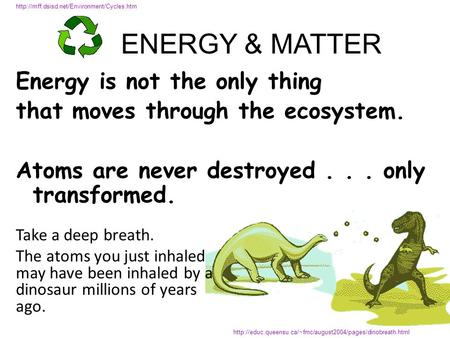 Energy is not the only thing that moves through the ecosystem. Atoms are never destroyed... only transformed.