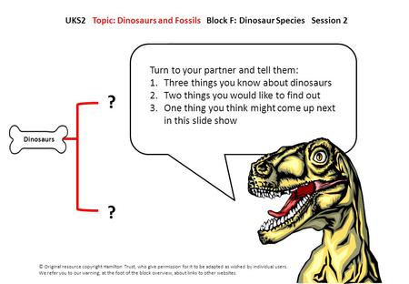 Dinosaurs Turn to your partner and tell them: 1.Three things you know about dinosaurs 2.Two things you would like to find out 3.One thing you think might.