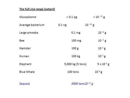 The full size range (extant) Mycoplasma < 0.1 pg < 10 -13 g Average bacterium0.1 ng 10 -10 g Large amoeba0.1 mg 10 -4 g Bee100 mg 10 -1 g Hamster100 g.