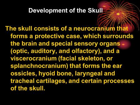 Development of the Skull The skull consists of a neurocranium that forms a protective case, which surrounds the brain and special sensory organs (optic,