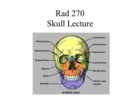Rad 270 Skull Lecture.