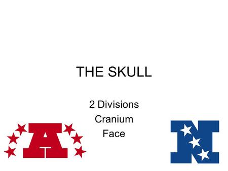 2 Divisions Cranium Face