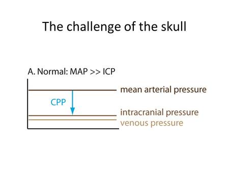 The challenge of the skull. Hypotension and cerebral perfusion.