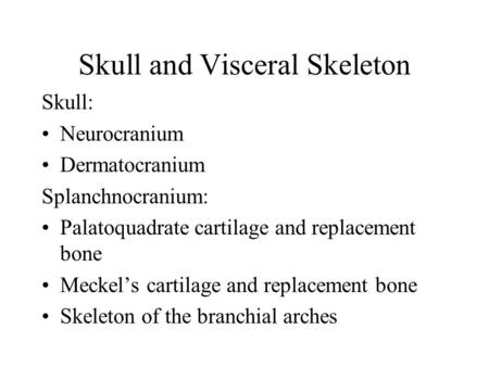 Skull and Visceral Skeleton