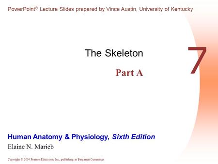 The Skeleton Part A 7.