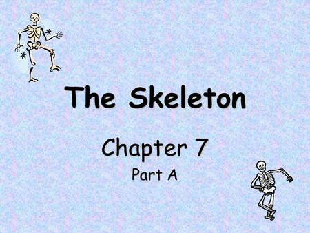 The Skeleton Chapter 7 Part A.