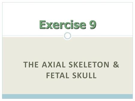 The Axial Skeleton & Fetal Skull