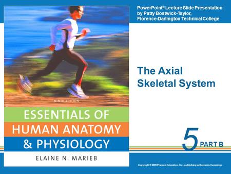 The Axial Skeletal System