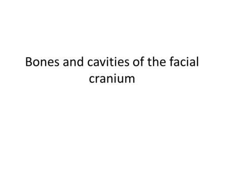 Bones and cavities of the facial cranium