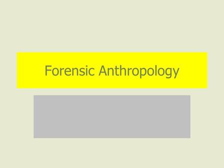 Forensic Anthropology. What Questions Can Forensic Anthropology Answer? Race Sex Approximate age Approximate stature Pathologies (diseases) Traumas (injuries)