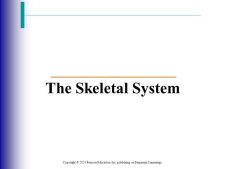 The Skeletal System Copyright © 2003 Pearson Education, Inc. publishing as Benjamin Cummings.