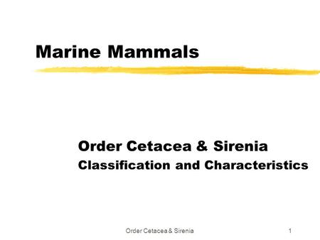 Order Cetacea & Sirenia Classification and Characteristics