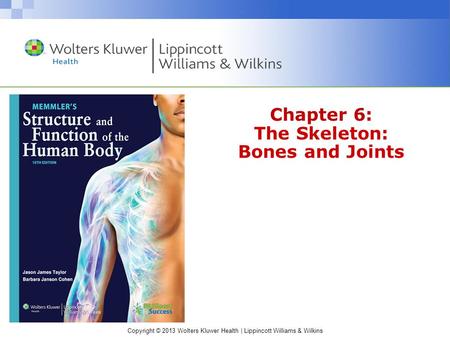 Chapter 6: The Skeleton: Bones and Joints