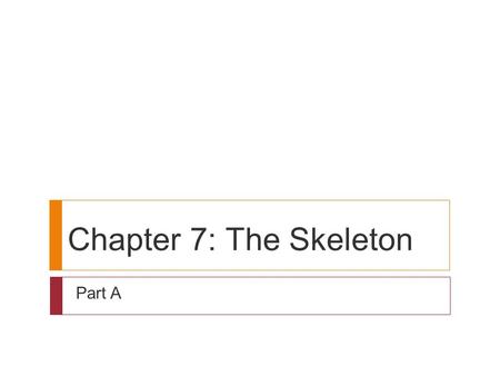 Chapter 7: The Skeleton Part A.