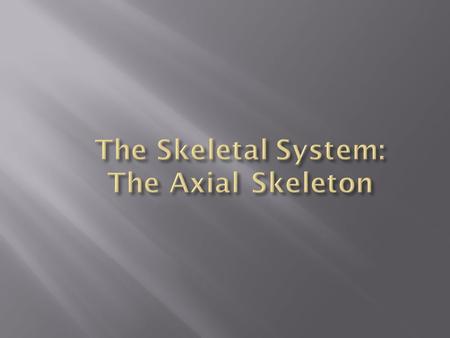 The Skeletal System: The Axial Skeleton