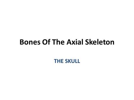 Bones Of The Axial Skeleton