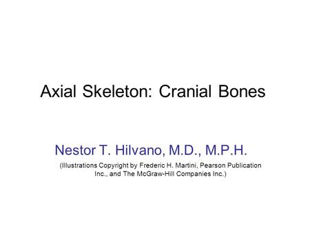 Axial Skeleton: Cranial Bones