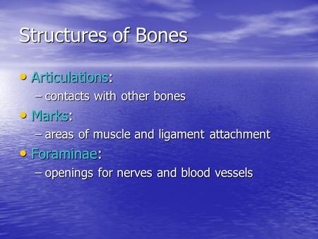 Structures of Bones Articulations: Marks: Foraminae: