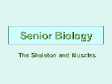 Senior Biology The Skeleton and Muscles. Musculoskeletal System The skeletal and muscular systems which work together and are controlled by the nervous.