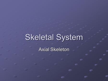 Skeletal System Axial Skeleton.