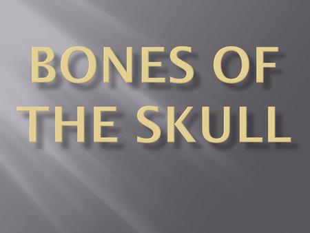 Bones of the skull.