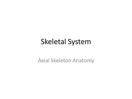 Skeletal System Axial Skeleton Anatomy. Anterior view of skull.
