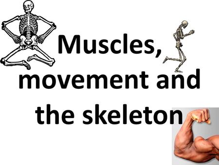 Muscles, movement and the skeleton. The Skeletal system is A-Maze-ing Start To carry on with the PP click the red button.