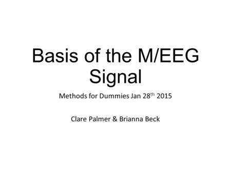 Basis of the M/EEG Signal