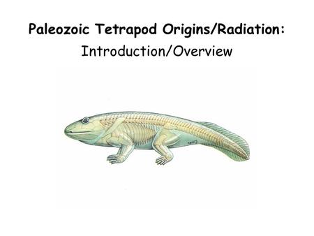 Paleozoic Tetrapod Origins/Radiation: Introduction/Overview.