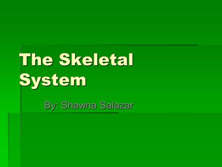 The Skeletal System By: Shawna Salazar.