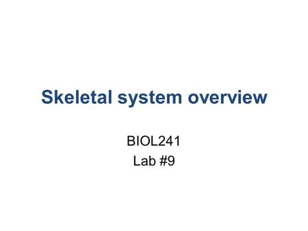 Skeletal system overview