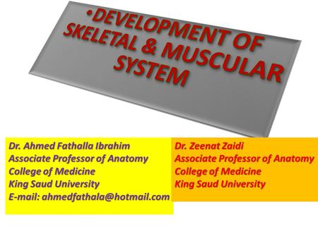 Dr. Ahmed Fathalla Ibrahim Associate Professor of Anatomy College of Medicine King Saud University   Dr. Zeenat Zaidi Associate.