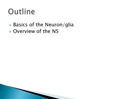  Basics of the Neuron/glia  Overview of the NS.
