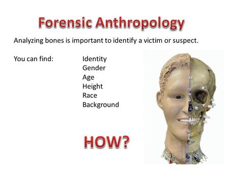 Analyzing bones is important to identify a victim or suspect. You can find: Identity Gender Age Height Race Background.