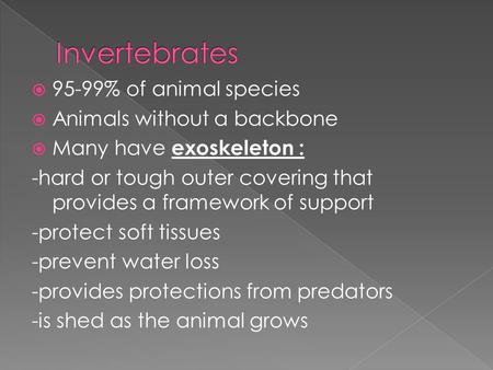  95-99% of animal species  Animals without a backbone  Many have exoskeleton : -hard or tough outer covering that provides a framework of support -protect.