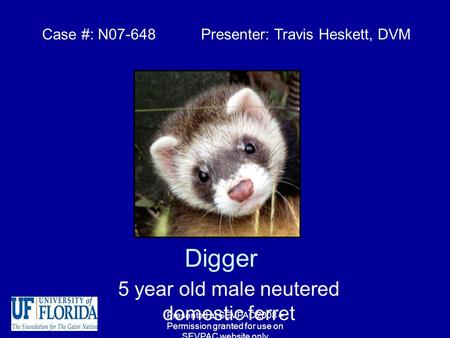 Digger 5 year old male neutered domestic ferret Case #: N07-648 Presenter: Travis Heskett, DVM Presented at SEVPAC 2008 – Permission granted for use on.
