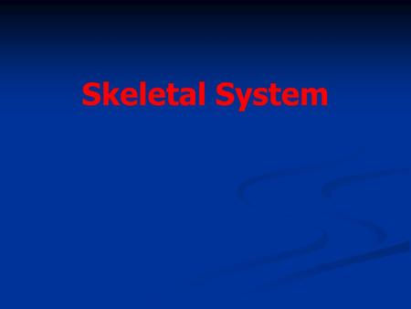 Skeletal System. Chapter 7.1 Objective- Read 7.1 and understand that bones are alive and multifunctional. Objective- Read 7.1 and understand that bones.