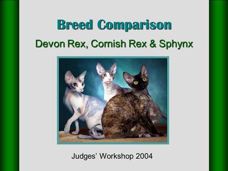 Breed Comparison Devon Rex, Cornish Rex & Sphynx Judges’ Workshop 2004.