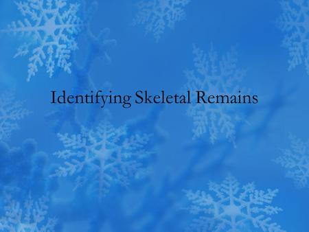 Identifying Skeletal Remains. Size and Stature Height can be estimated from the lengths of certain long bones –Humerus –Femur General build can be characterized.