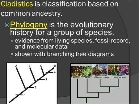 Cladistics is classification based on common ancestry.  Phylogeny is the evolutionary history for a group of species. evidence from living species, fossil.