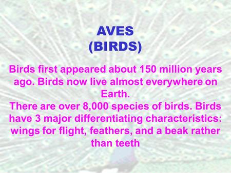 Birds first appeared about 150 million years ago. Birds now live almost everywhere on Earth. There are over 8,000 species of birds. Birds have 3 major.