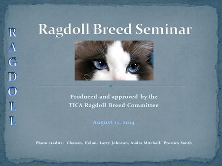 Produced and approved by the TICA Ragdoll Breed Committee