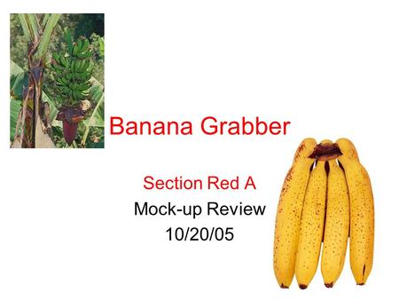 Section Red A Mock-up Review 10/20/05 Banana Grabber.